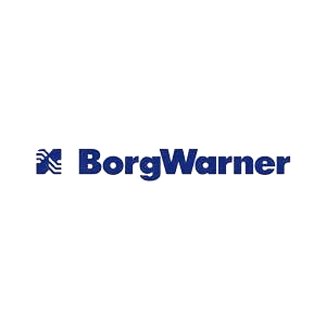 borg-warner-removebg-preview